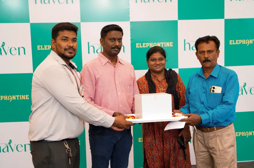 Haven Launch 1